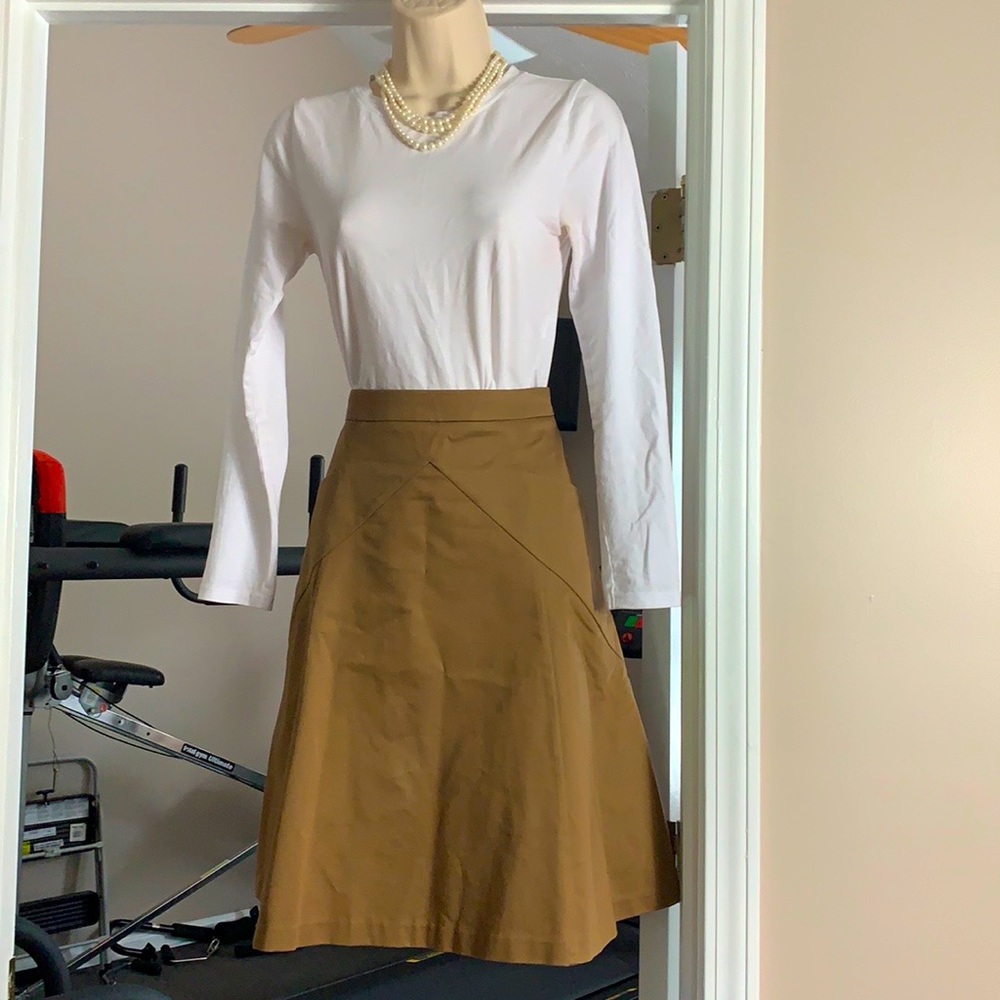 Gorgeous Brown A-Line Skirt